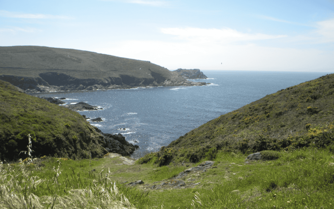 Ensenada de Caniveliñas 0 (0)